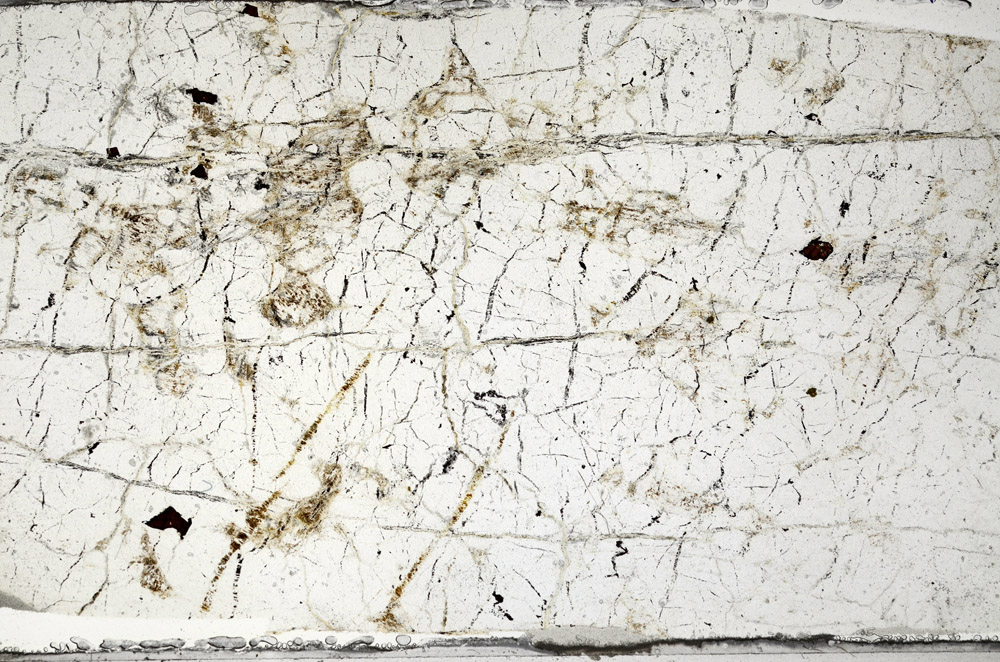 Plane Polarized, N7957