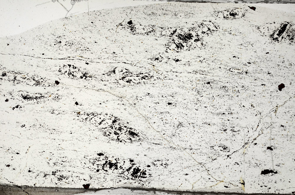 Plane Polarized, N7958