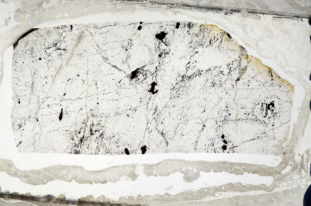 Plane Polarized, N7959