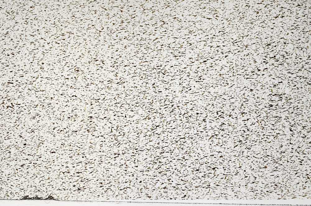 Plane Polarized, N7968