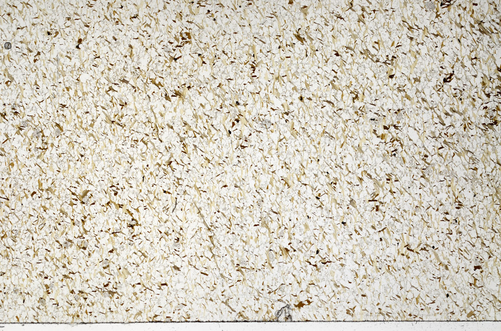 Plane Polarized, N7972