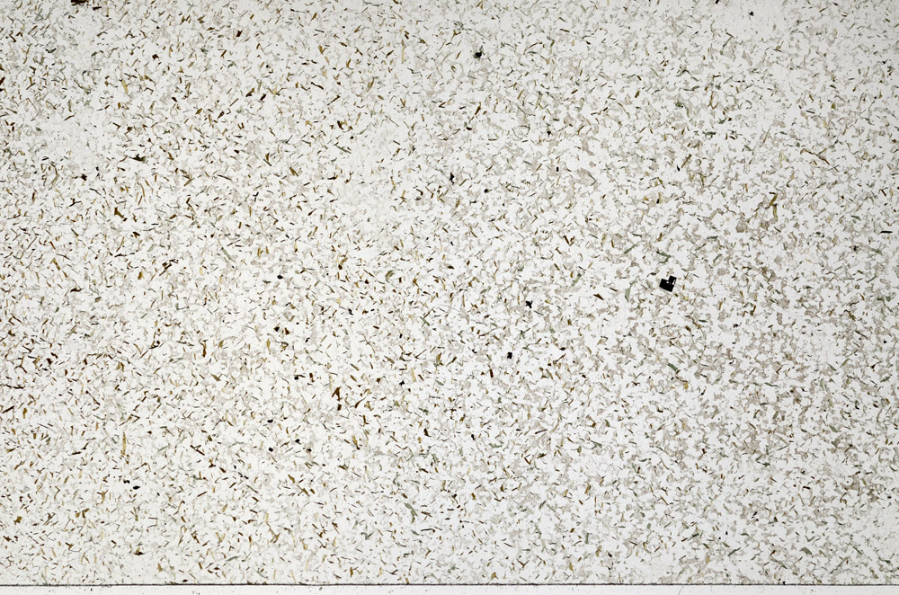 Plane Polarized, N7973