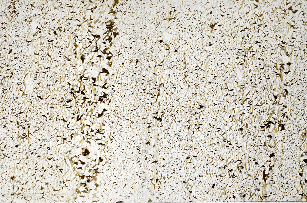 Plane Polarized, N7974