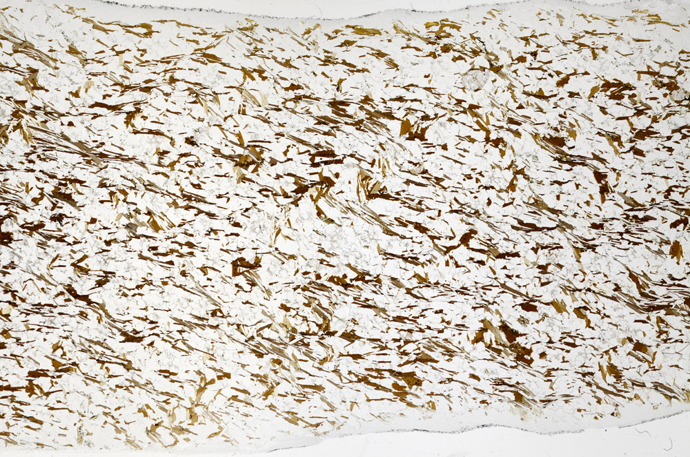 Plane Polarized, N7976