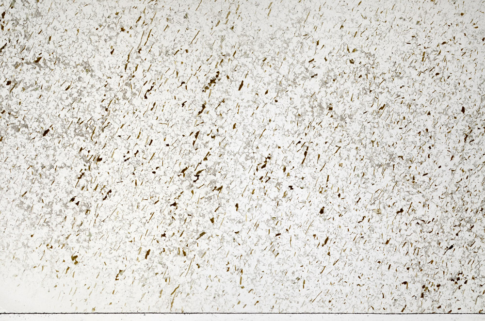 Plane Polarized, N7978