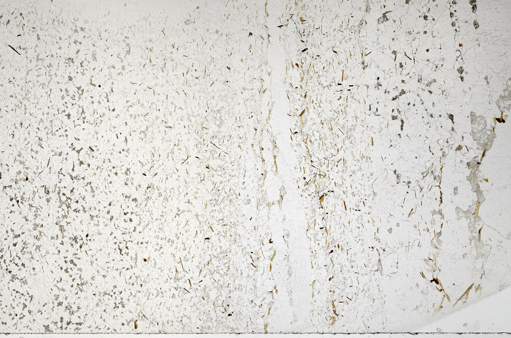 Plane Polarized, N7979