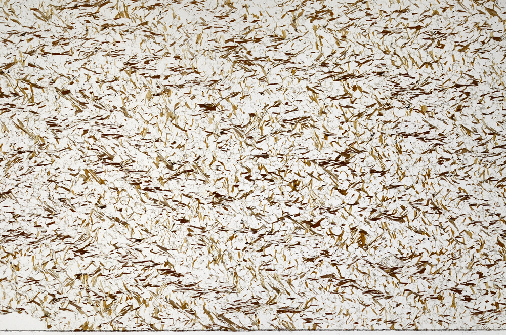 Plane Polarized, N7980