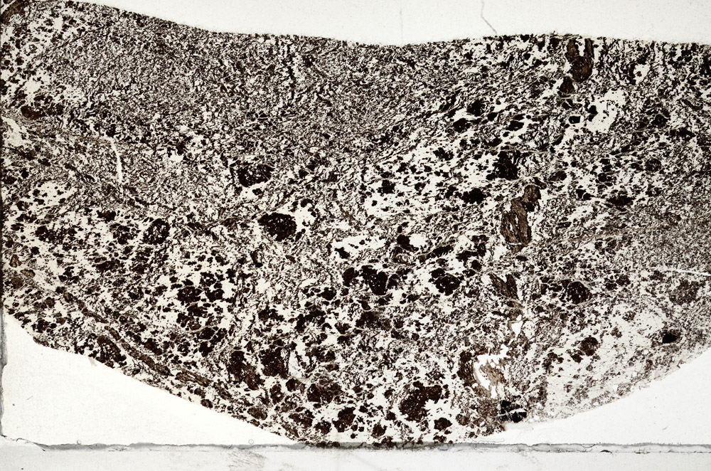 Plane Polarized, N7984