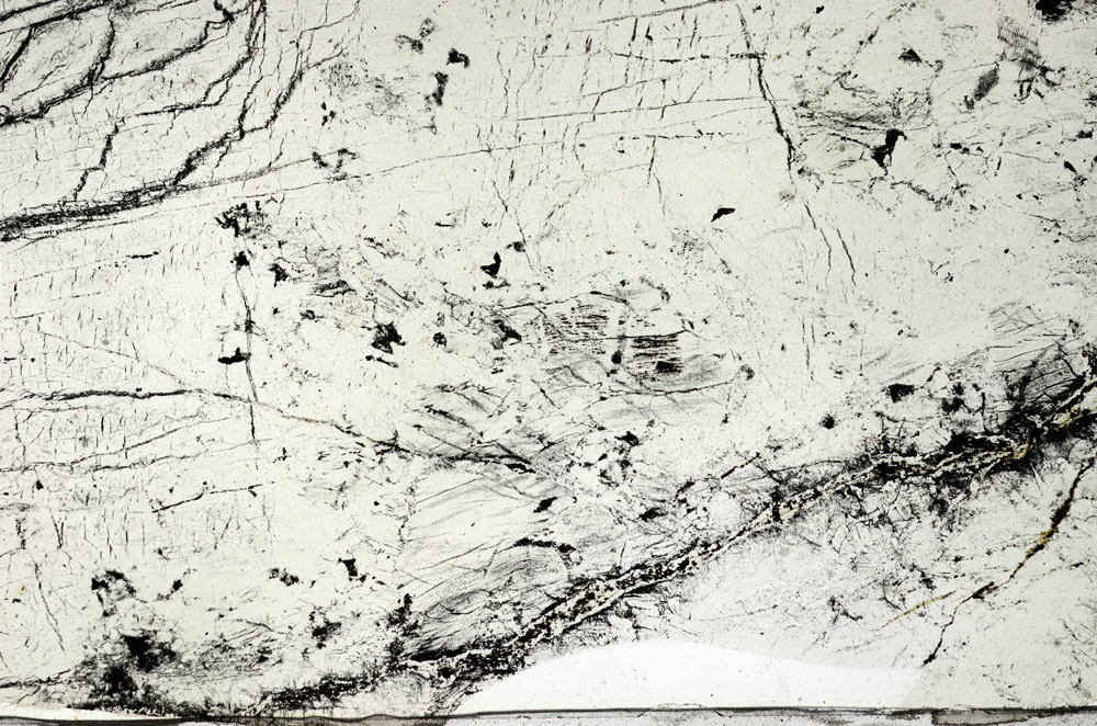 Plane Polarized, N8198