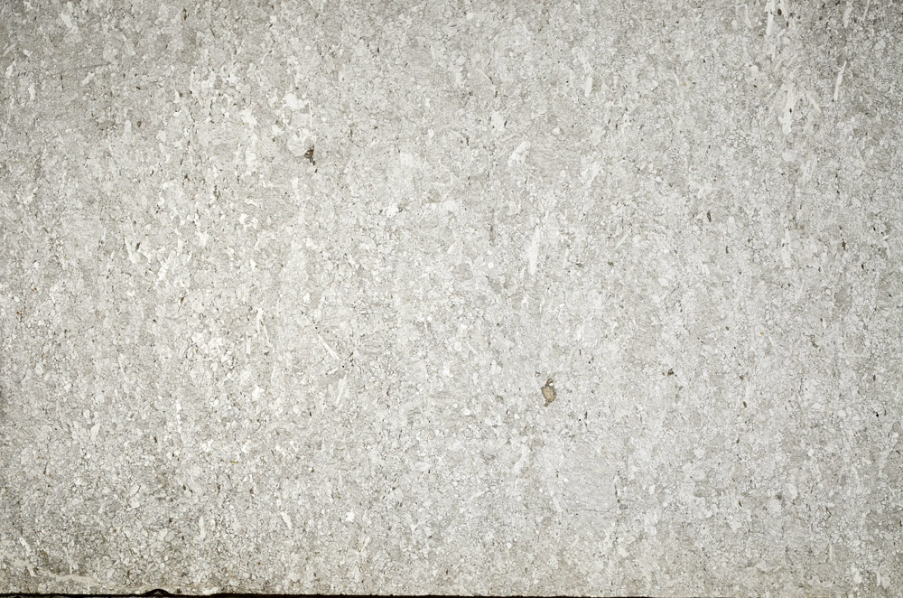 Plane Polarized, N8208