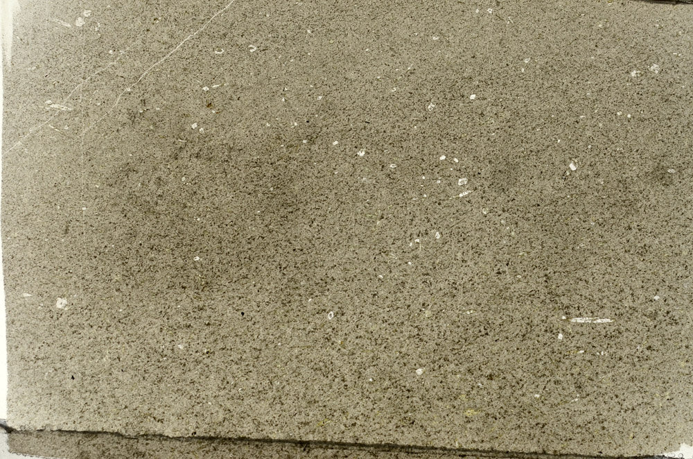 Plane Polarized, N8285