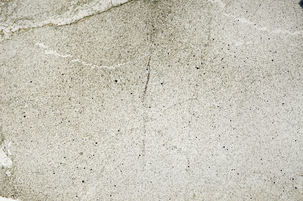 Plane Polarized, N8399