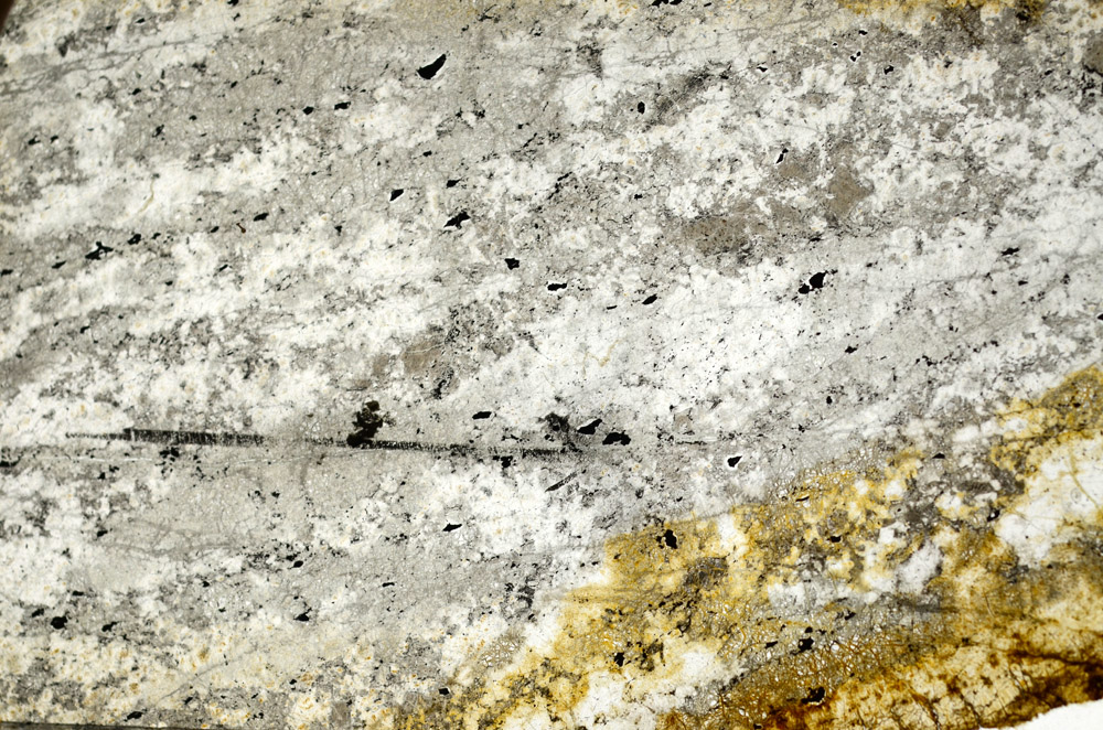 Plane Polarized, N8439
