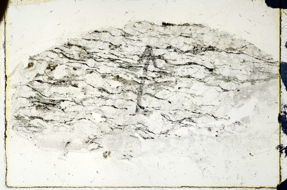 Plane Polarized, N8506