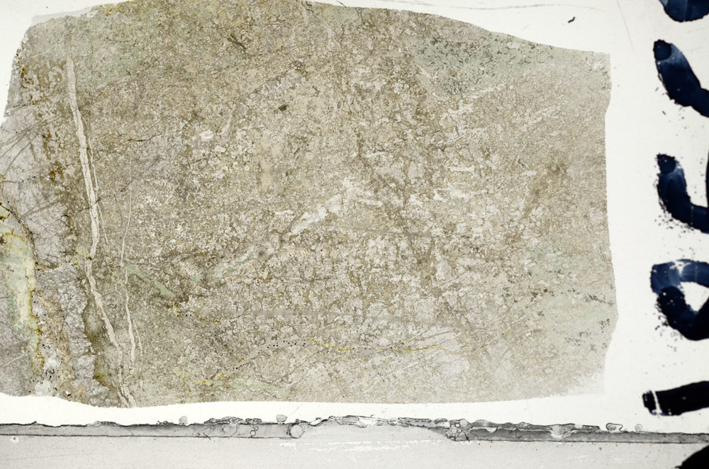 Plane Polarized, N8558