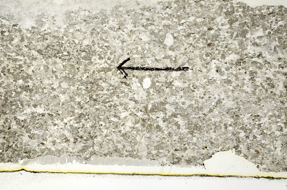 Plane Polarized, N8594