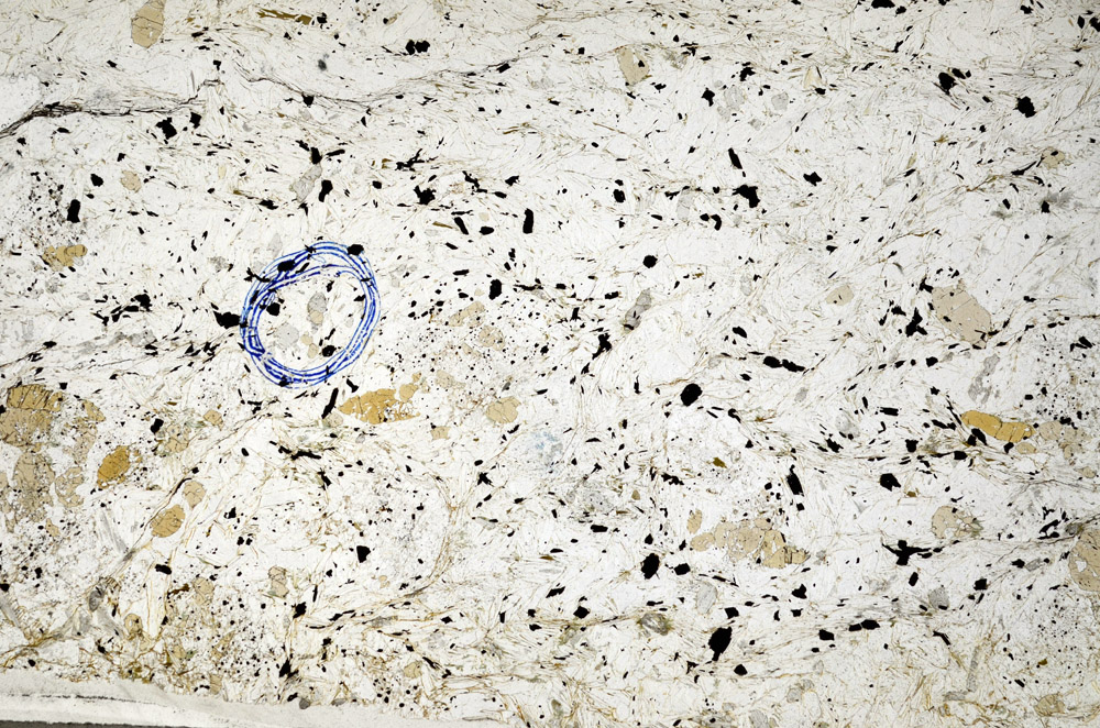 Plane Polarized, N8687