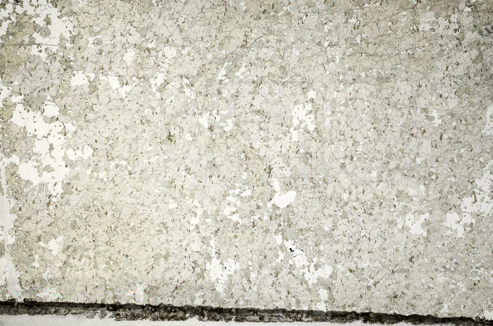 Plane Polarized, N8733