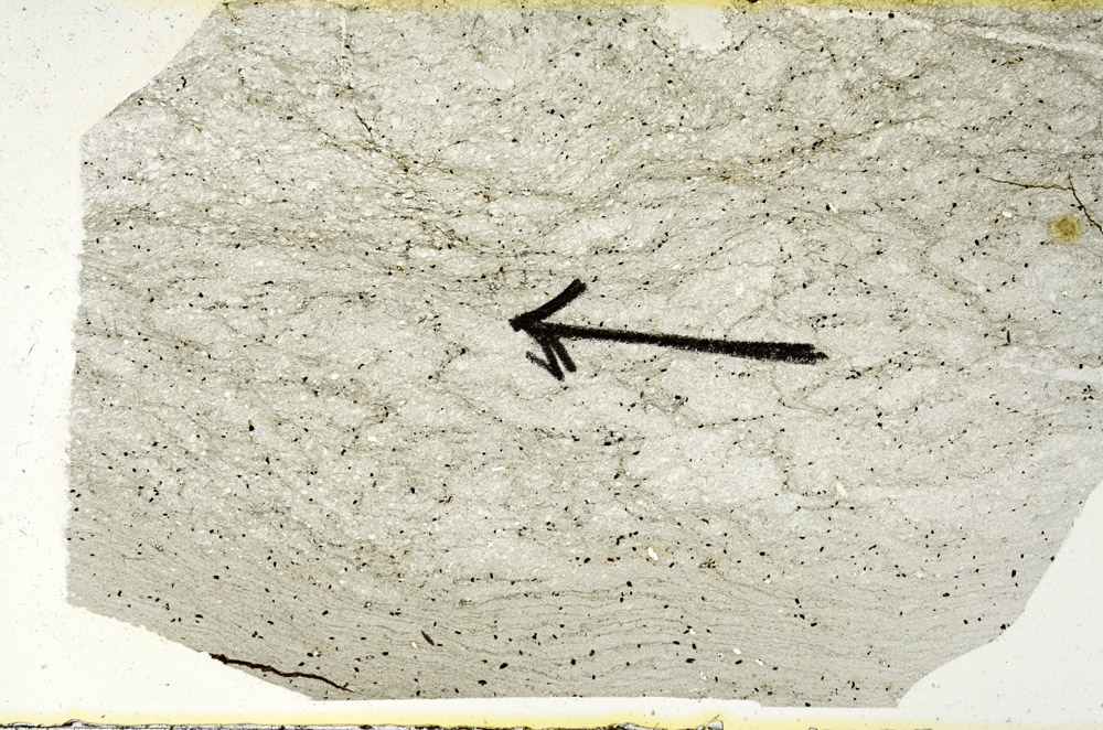 Plane Polarized, N8831