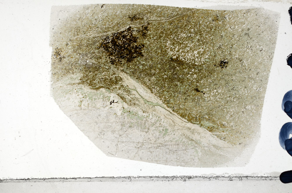 Plane Polarized, N8844