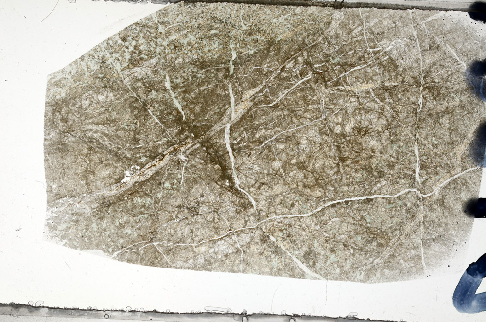 Plane Polarized, N8868