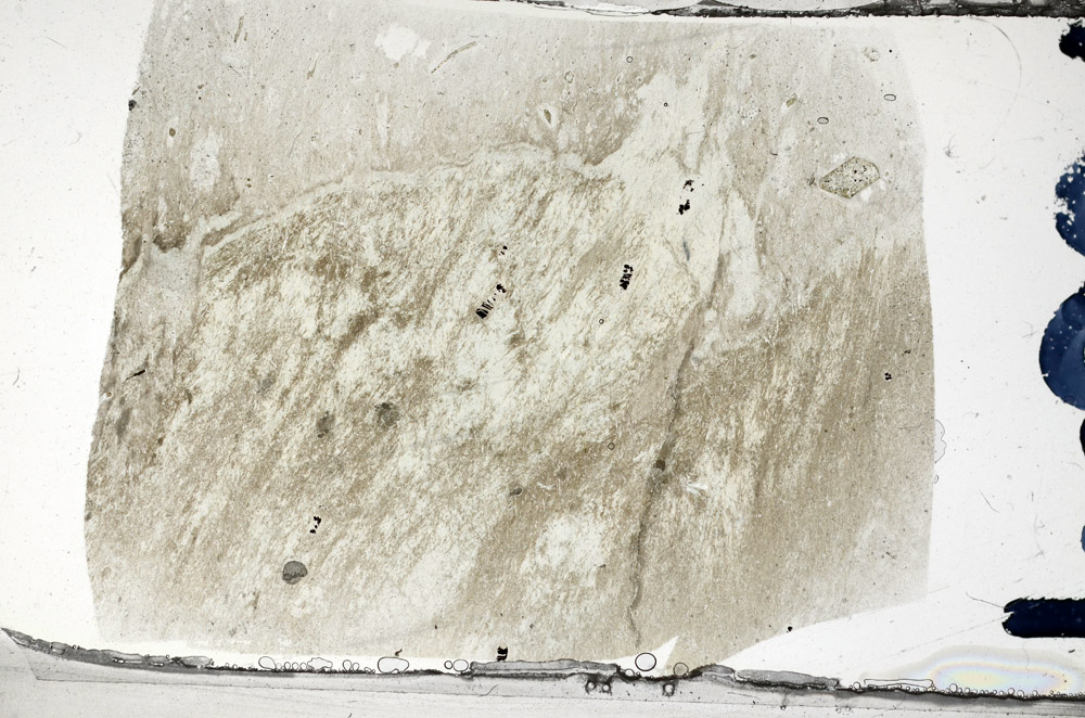 Plane Polarized, N8876