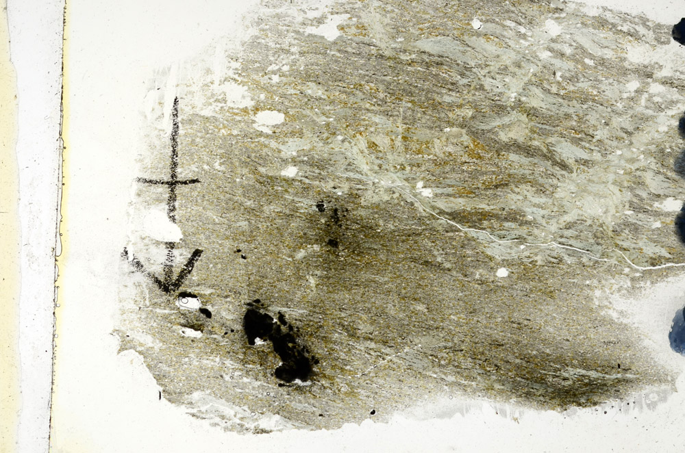 Plane Polarized, N8982
