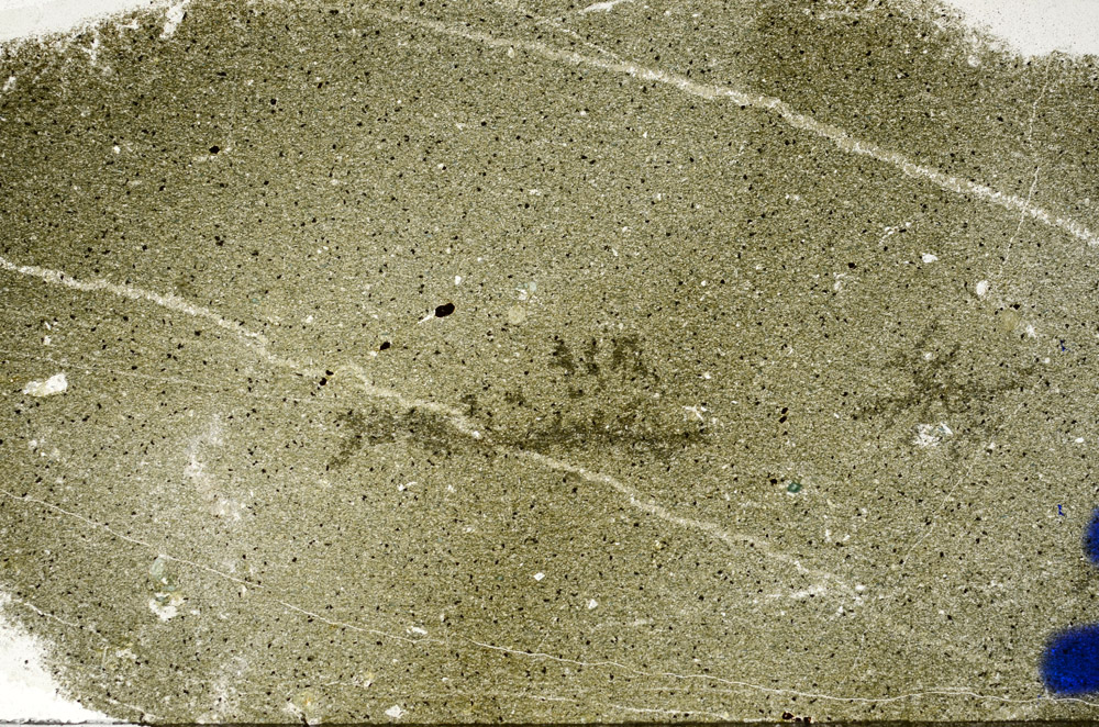 Plane Polarized, N9146