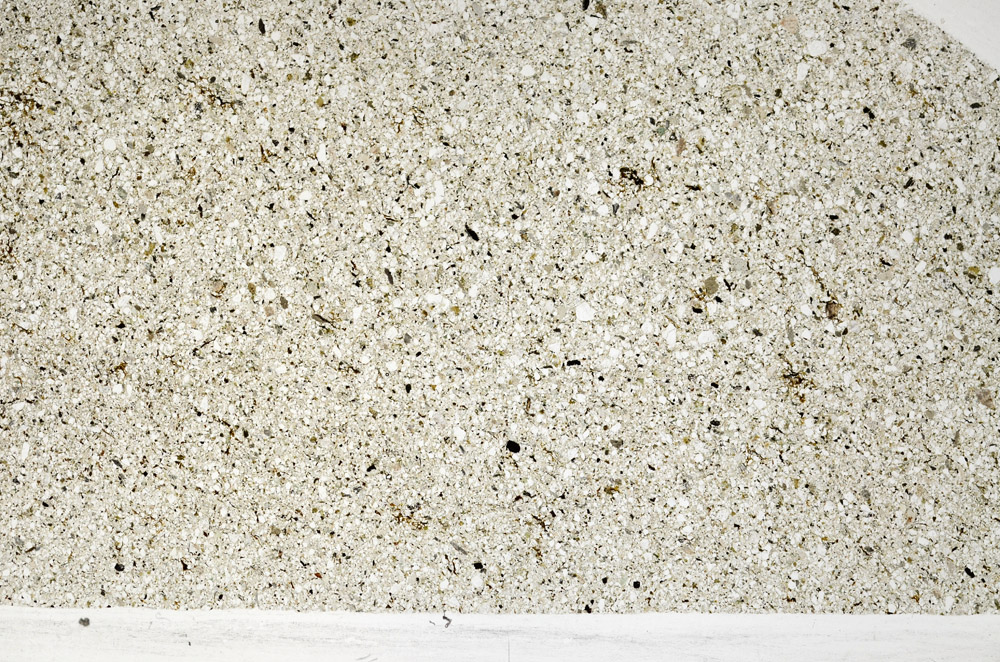 Plane Polarized, N9166