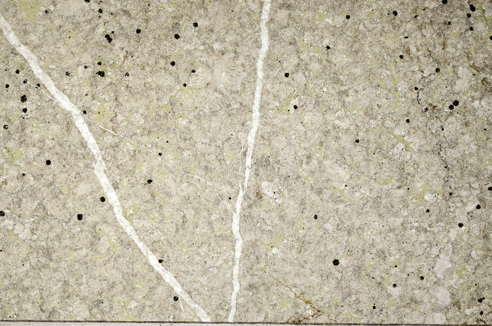 Plane Polarized, N9311