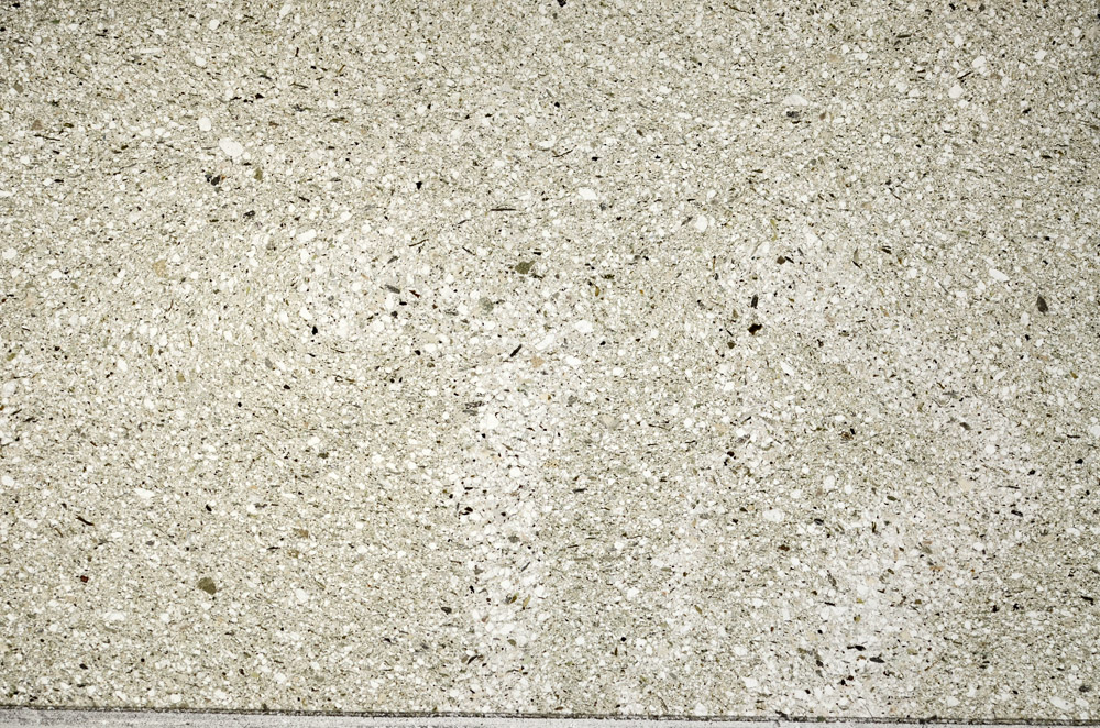 Plane Polarized, N9313