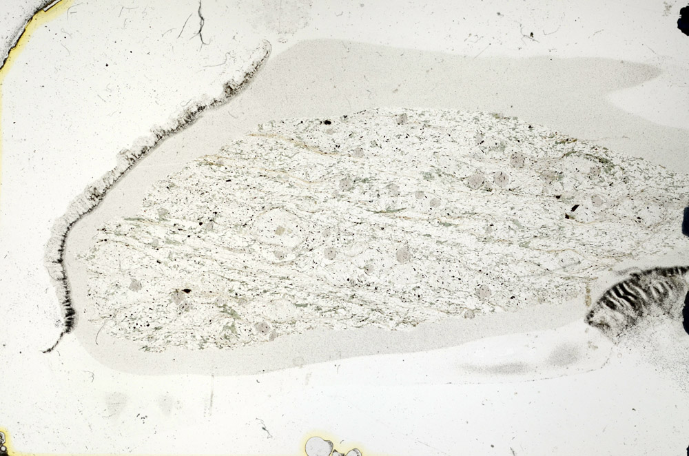 Plane Polarized, N9327