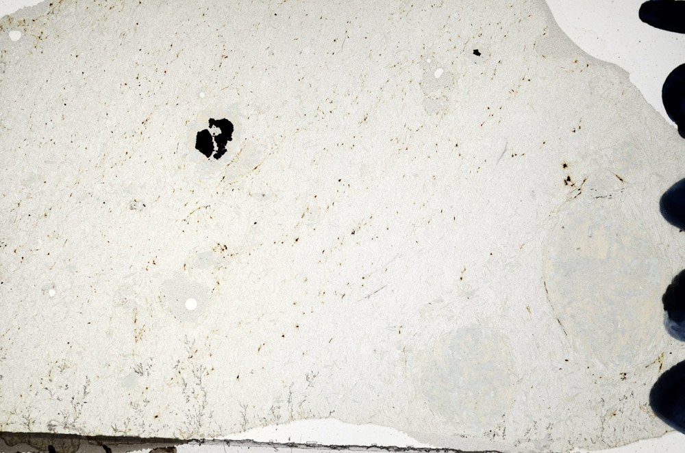 Plane Polarized, N9389