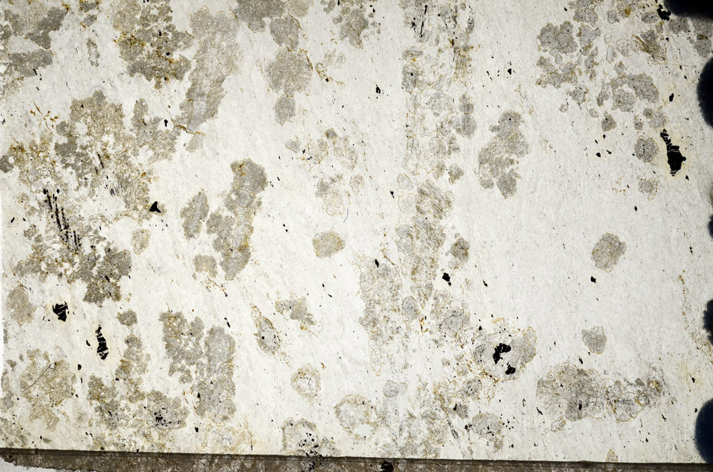 Plane Polarized, N9403