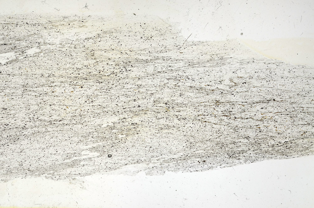 Plane Polarized, N9438/A