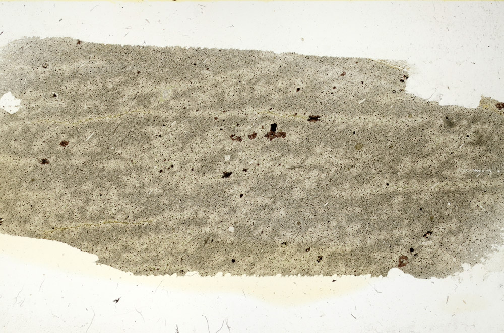 Plane Polarized, N9447