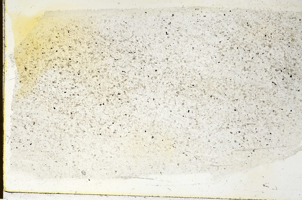 Plane Polarized, N9449