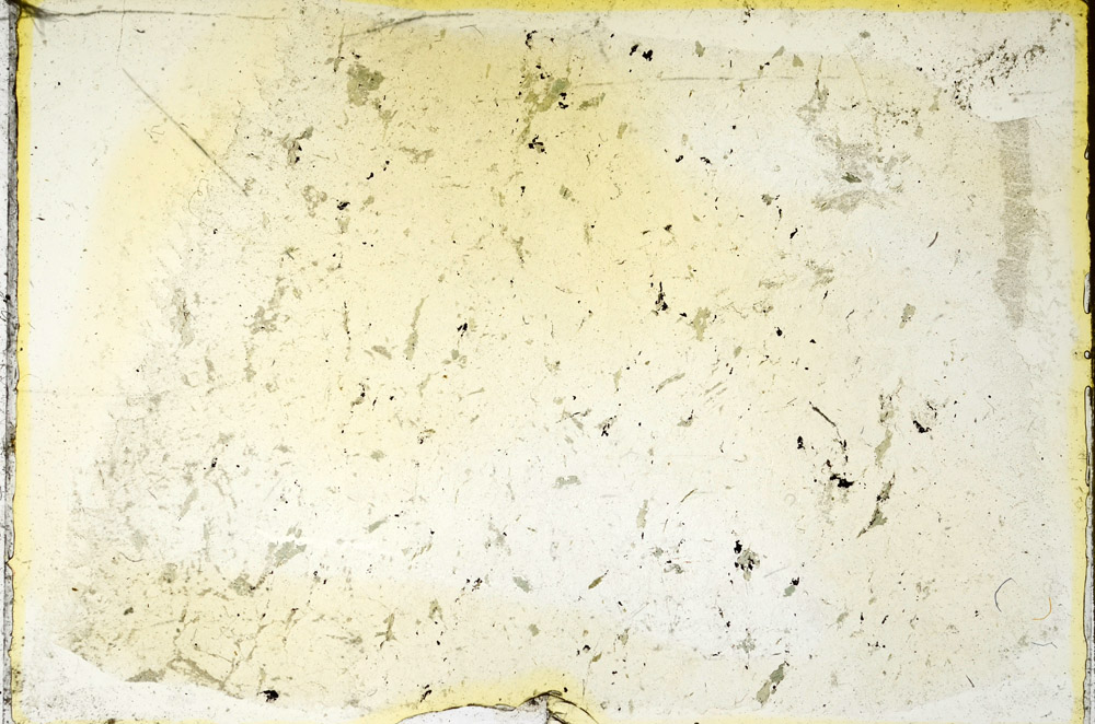 Plane Polarized, N9458