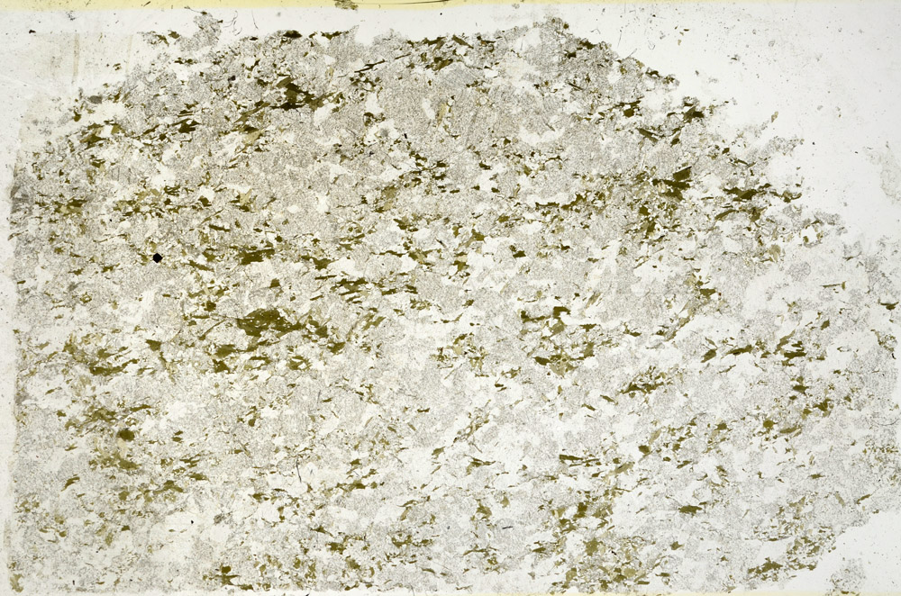 Plane Polarized, N9461