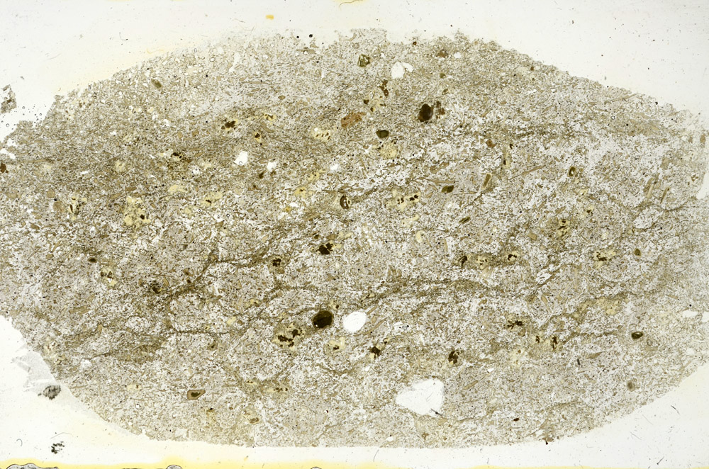 Plane Polarized, N9463