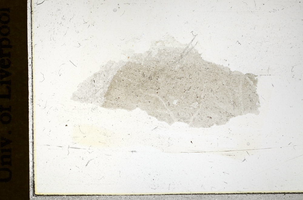 Plane Polarized, N9479