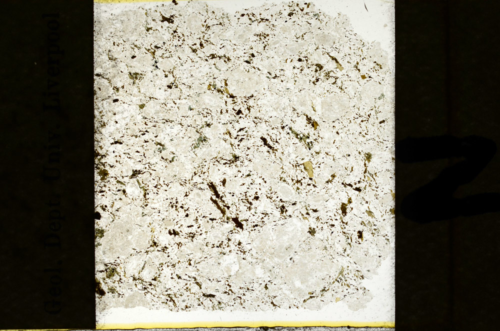 Plane Polarized, N9483