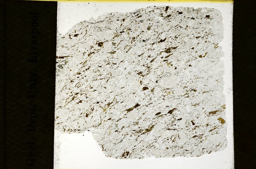 Plane Polarized, N9492/A