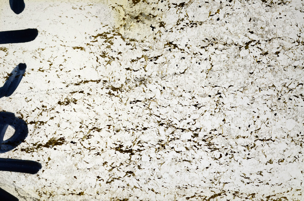 Plane Polarized, N9567