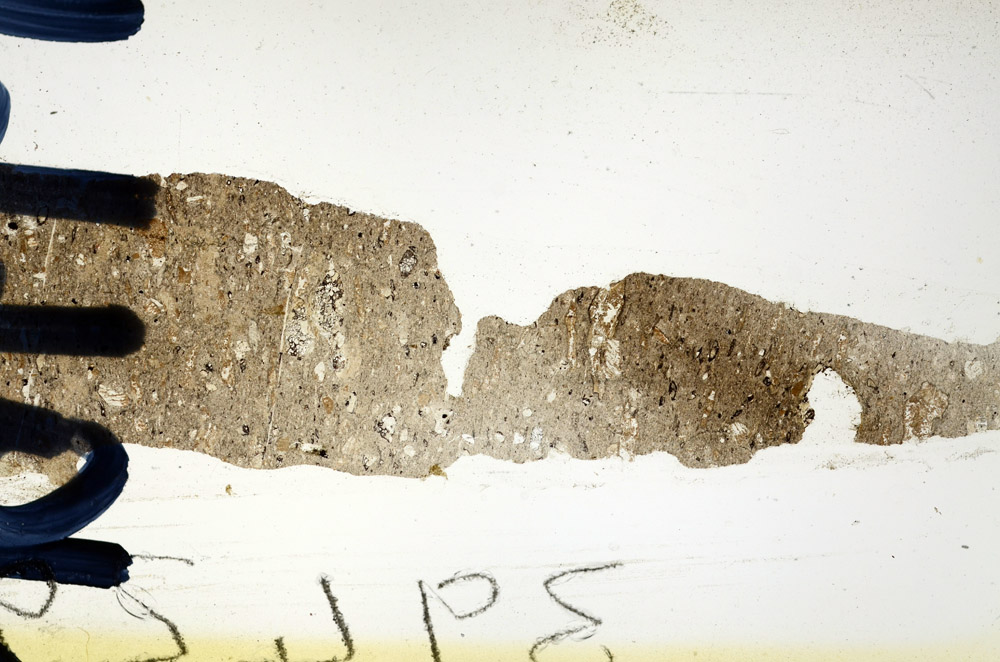 Plane Polarized, N9661