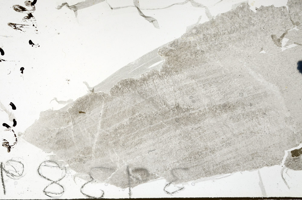 Plane Polarized, N9667