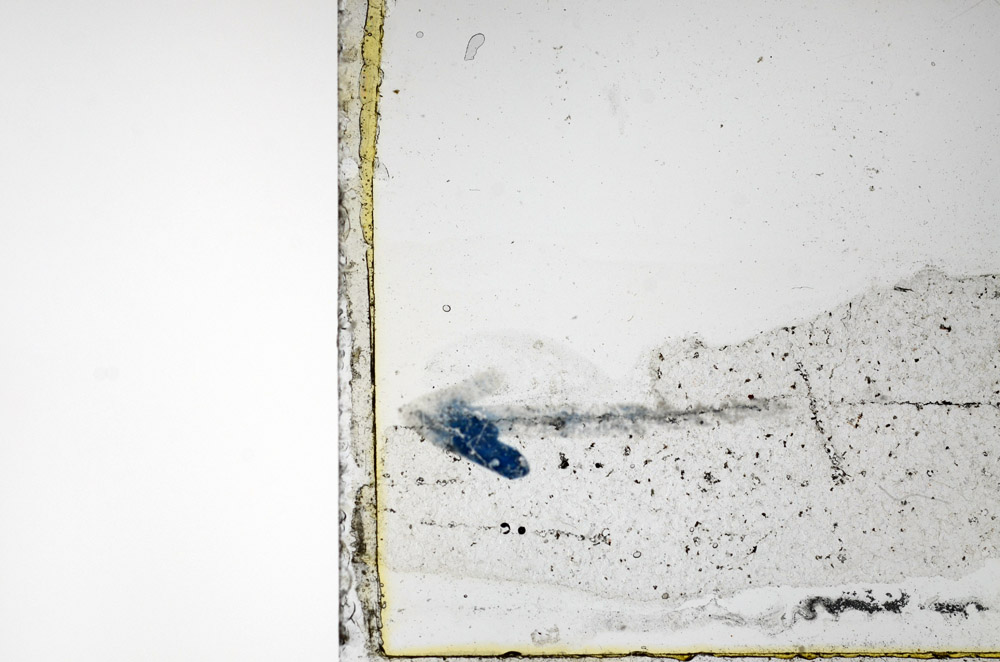 Plane Polarized, N9682