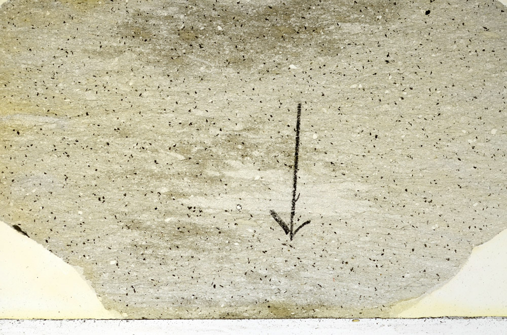 Plane Polarized, N9689