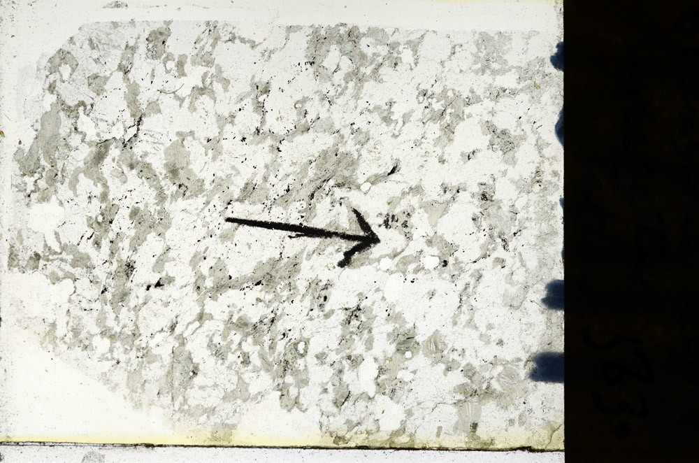 Plane Polarized, N9716/B