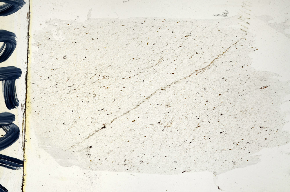 Plane Polarized, N9732